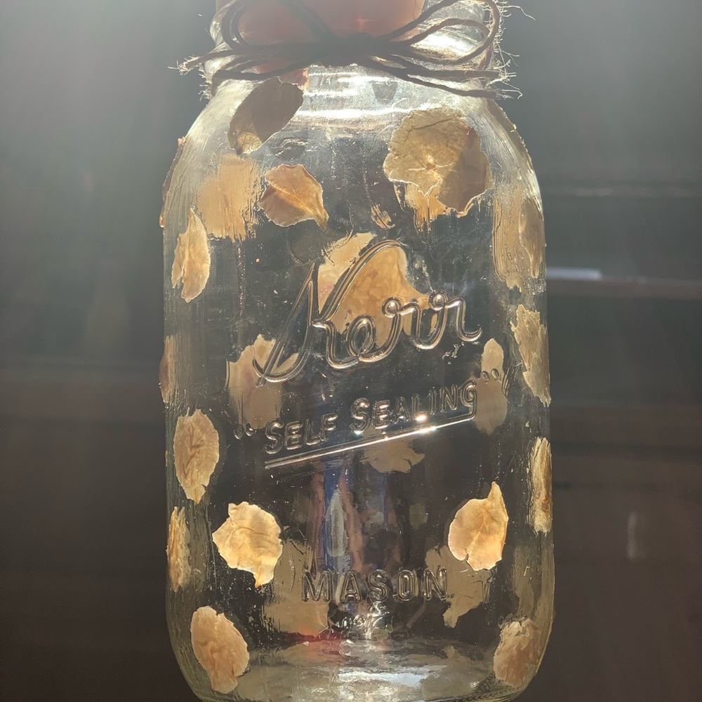 Mason jar with real flower petals! Used for tealights only.